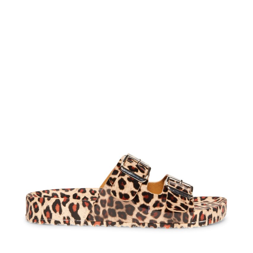 Sandalias de Diapositivas Steve Madden Teddy-t Mujer Leopardo | ES HM68SE